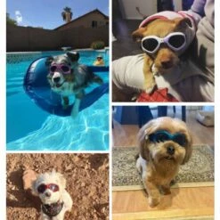 Triomphe Lunettes Pliables Pour Animaux De Compagnie Lunettes De Chien Pour Chat Lunettes De Ski Accessoires Pour Animaux Lunettes De Soleil, Noir -Promos Protection des yeux : lunettes et masque Magasin 28512439 4