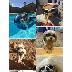 TRIOMPHE Lunettes Pour Chien, Lunettes De Soleil Pour Animaux, Lunettes Pour Chien Pliable Lunette De Soleil Protection UV (Red) -Promos Protection des yeux : lunettes et masque Magasin 37002977 5