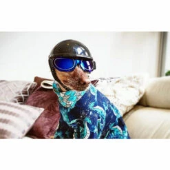 DONTODENT Lunettes Pour Chiens, Lunettes De Soleil Pour Animaux, Lunettes De Protection Étanches Anti-UV Avec Tête Réglable Imperméable Coupe-Vent Les Petits Et Moyens Chiens Chats - Coloré