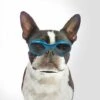 ALMI Lunettes De Soleil Pour Animaux , Mode Lunettes Pour Chien Protection UV Pour Petits Chiens Moyen Chat-Bleu