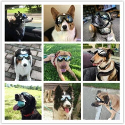 Lunettes De Soleil Pour Chien,Triomphe Lunette Pour Chien, Lunettes De Extérieures Imperméables UV, UV Protection Goggle Pour Petit Moyen Grand Chien, Lunettes De Soleil Pour Animaux Léger Protection UV -Promos Protection des yeux : lunettes et masque Magasin 52079197 5