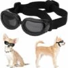 Lunettes De Soleil Pour Chien -Triomphe Sangle Réglable - Coupe-vent Et Imperméable - Protection UV - Pour Chiens De Petite Et Moyenne Taille