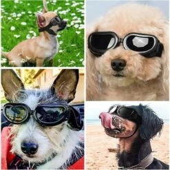 Lunettes De Soleil Pour Chien -Triomphe Sangle Réglable - Coupe-vent Et Imperméable - Protection UV - Pour Chiens De Petite Et Moyenne Taille -Promos Protection des yeux : lunettes et masque Magasin 52079198 5