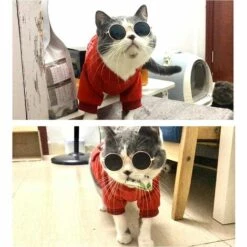 Lunettes De Protection Chien Chat Triomphe Lunettes Rétro Pour Animaux Lunettes De Soleil Chat Chien Facile à Porter Lunettes De Soleil Pet Dog Cat Accessoires De Photo De Costume De Fête De Cosplay -Promos Protection des yeux : lunettes et masque Magasin 52079200 5