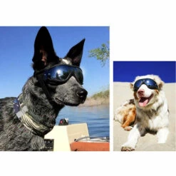 MERKMAK Lunettes De Soleil Pour Chien Reglables, Anti-Uv, Anti-Poussiere Anti-Buee, Protection Des Yeux, Coupe-Vent, Impermeables Pour Chien Moyen Ou Grand -Promos Protection des yeux : lunettes et masque Magasin 54395966 5