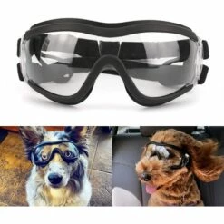 Lunettes Pour Chiens Protection Des Yeux à L'extérieur Sangle Réglable Facile à Mettre Lunettes De Soleil Pour Animaux De Compagnie-Transparent，Irisfr -Promos Protection des yeux : lunettes et masque Magasin 55764453 5