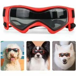 CADEAUX Lunettes De Soleil Pour Chien Bandoulière Réglable Protection UV Lunettes De Soleil Protection étanche