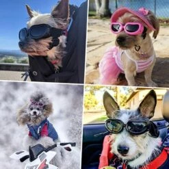 STARLIGHT Lunettes Pour Chiens Lunettes De Soleil Anti-UV Pour Chien,SL.GT Lunettes Pour Animaux De Compagnie Avec Sangles Réglables Pour Petits Chiens----Noir -Promos Protection des yeux : lunettes et masque Magasin 57710709 5