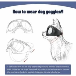 ROSIER Lunettes De Soleil Pour Chien Lunettes Facile à Porter Lunettes De Protection Pour Chiens Lunettes De Moto Pour Chiens De Petite/moyenne Taille——VEBTles 9 ROSIER Lunettes De Soleil Pour Chien Lunettes Facile à Porter Lunettes De Protection Pour Chiens Lunettes De Moto Pour Chiens De Petite/moyenne Taille——VEBTles -Promos Protection des yeux : lunettes et masque Magasin 60070292 5