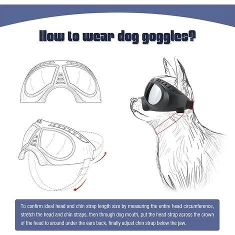 ROSIER Lunettes De Soleil Pour Chien Lunettes Facile à Porter Lunettes De Protection Pour Chiens Lunettes De Moto Pour Chiens De Petite/moyenne Taille——VEBTles 5 ROSIER Lunettes De Soleil Pour Chien Lunettes Facile à Porter Lunettes De Protection Pour Chiens Lunettes De Moto Pour Chiens De Petite/moyenne Taille——VEBTles – Image 5