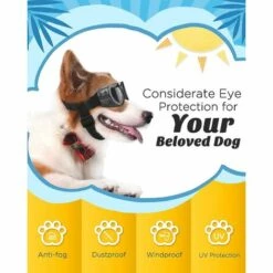 DONTODENT Lunettes De Soleil Pour Petits Chiens Lunettes De Protection UV Protection Des Yeux Avec Sangle Réglable Noir D'eau -Promos Protection des yeux : lunettes et masque Magasin 61296974 3