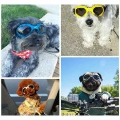 Dontodent Pet Lunettes Pliables Lunettes Pour Chiens Et Chats Lunettes Accessoires Pour Animaux Lunettes De Soleil, Rose -Promos Protection des yeux : lunettes et masque Magasin 63740098 5