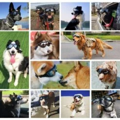 CARILLONSàVENT Carivent Lunettes Pour Animaux De Compagnie Lunettes Pour Chiens Lunettes Pour Animaux De Compagnie Chien Noir Taille Unique= -Promos Protection des yeux : lunettes et masque Magasin 64140791 5