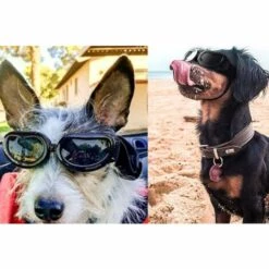 WIAN 2 Pièces Lunettes Pour Animaux De Compagnie Lunettes De Protection UV Pour Chien Lunettes De Soleil Pour Petit Chien Chat (Rose) -Promos Protection des yeux : lunettes et masque Magasin 64866090 5