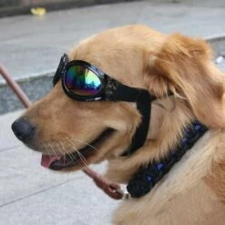 THSINDE Haustier-Sonnenbrille Mit Riemen, Hunde-UV-Brille Mit Verstellbarem Kinnriemen, Schwarz