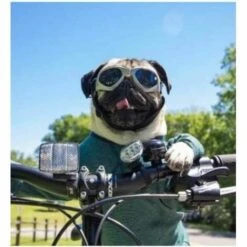 BF Lunettes Pliables Pour Animaux De Compagnie Protection Contre Le Vent Et Les UV, Lunettes Recommandées Par Les Vétérinaires Blanc