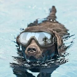YOOUYIDA Lunettes Soleil Pour Chien Anti-UV Imperméables Coupe-Vent, Protection Des Yeux Pour Chiens De Taille Moyenne Et Grande, Nager Des Lunettes 7 YOOUYIDA Lunettes Soleil Pour Chien Anti-UV Imperméables Coupe-Vent, Protection Des Yeux Pour Chiens De Taille Moyenne Et Grande, Nager Des Lunettes -Promos Protection des yeux : lunettes et masque Magasin 65677879 3