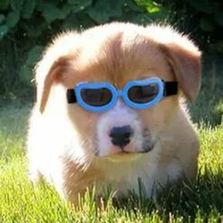 BAICCCF Lunettes De Protection Lunettes De Soleil Anti-ultraviolets Imperméables élégantes Pour Chiens -Promos Protection des yeux : lunettes et masque Magasin 65748229 3