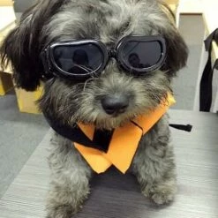 BAICCCF Lunettes De Protection Lunettes De Soleil Anti-ultraviolets Imperméables élégantes Pour Chiens.. -Promos Protection des yeux : lunettes et masque Magasin 65748347 4