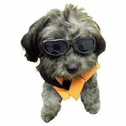 YOOUYIDA Lunettes Pour Chien, Lunettes De Soleil Pour Animaux, Lunettes Pour Chien Pliable Lunette De Soleil Protection UV (Black) -Promos Protection des yeux : lunettes et masque Magasin 67896501 5